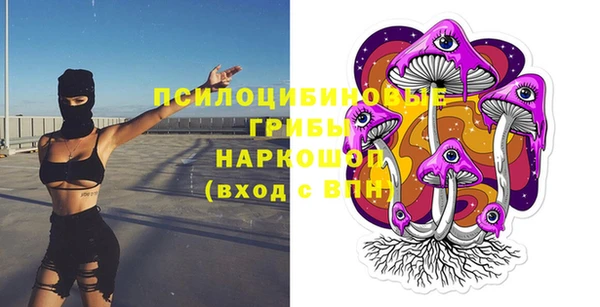 эйфоретик Алексин