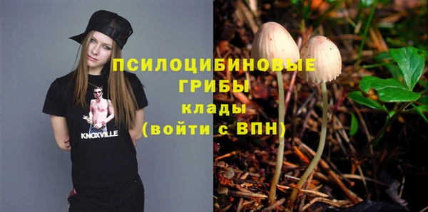 гашиш Абаза